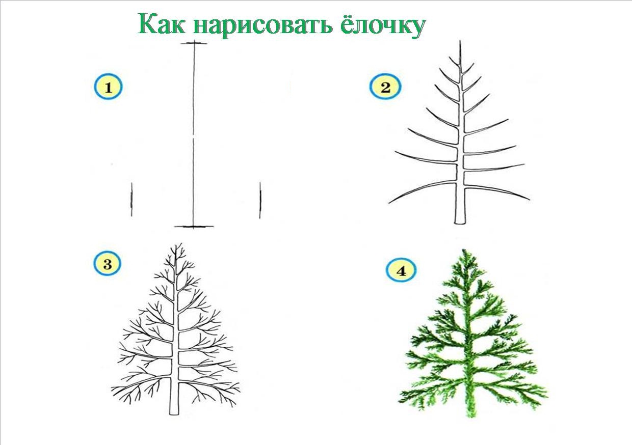 Схема рисования елки